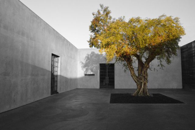 Maxfield at 8825 Melrose Avenue.