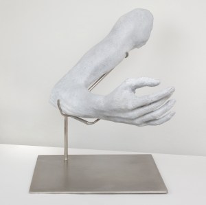 Nicole Farhi