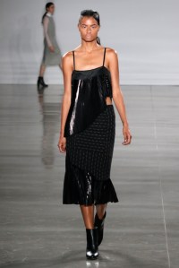 Daniel Silverstain RTW Spring 2017