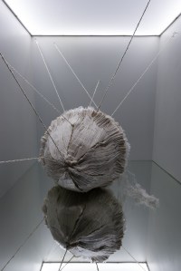 Phoebe English The Extraordinary Process
