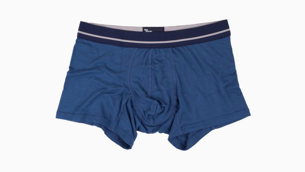 Nice Laundry underwear.