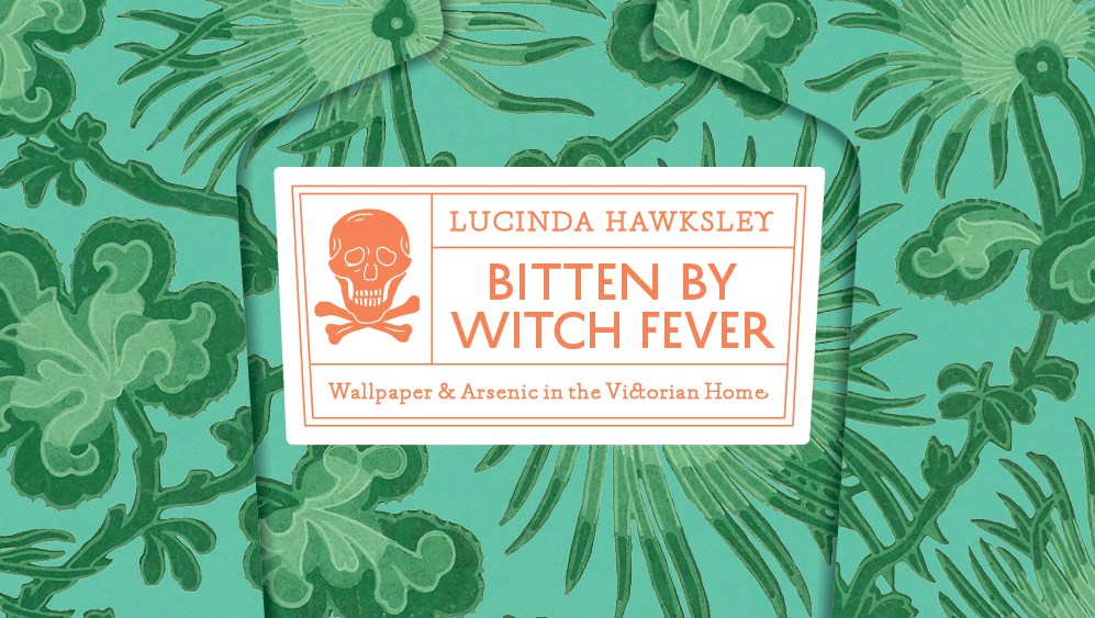 Bitten by Witch Fever by Lucinda Dickens Hawksley