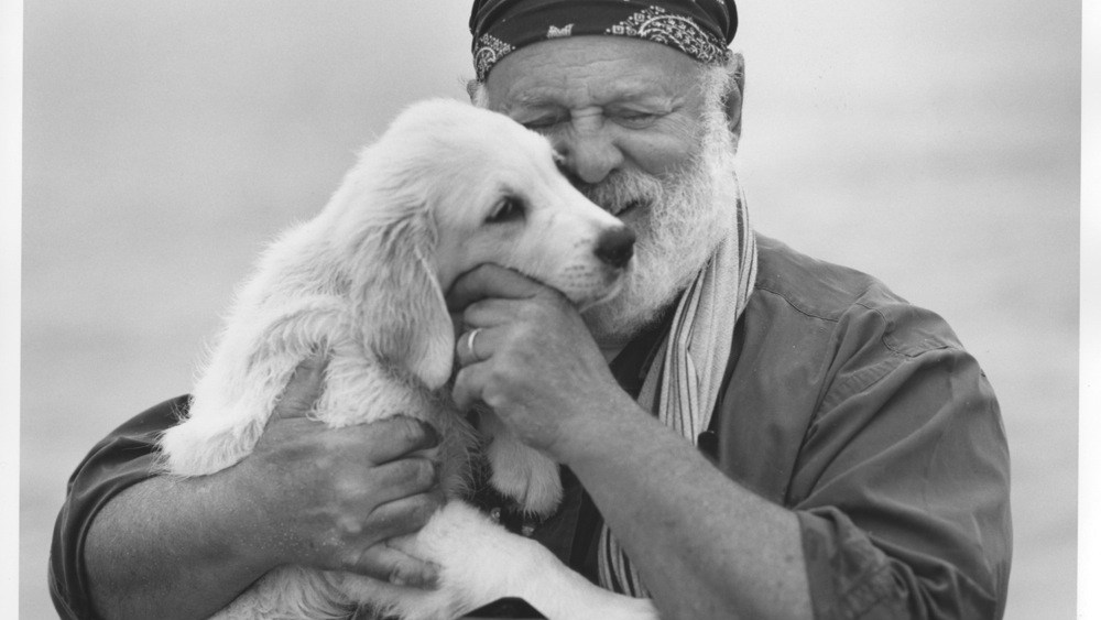 Bruce Weber
