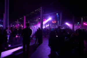 The scene at the Valentino's Black Tiger party in Moscow