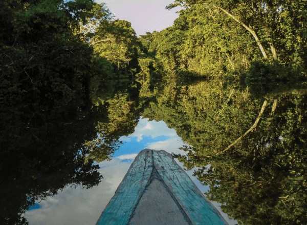 Top 10 Sustainability Moments 2016
