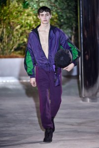 Cottweiler Men's Fall 2017