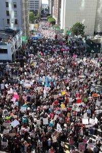 Women's March for Solidarity Los Angeles USA