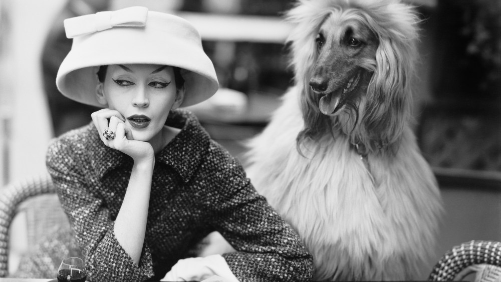 Balenciaga Richard Avedon