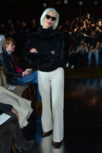 Front Row at Gabriela Hearst RTW Fall 2017