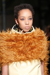 Details at Marni RTW Fall 2017