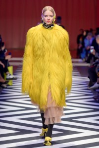 MSGM RTW Fall 2017