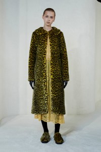 Shrimps RTW Fall 2017