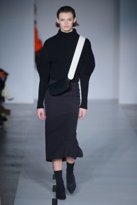 Sportmax RTW Fall 2017