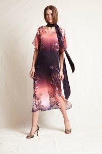 Warm RTW Fall 2017
