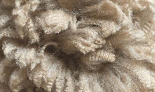 USAFC Forms Boost U.S. Alpaca Fiber Production, Manufacturing