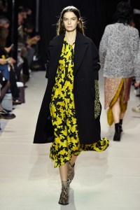 Christian Wijnants RTW Fall 2017