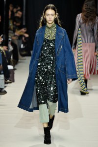 Christian Wijnants RTW Fall 2017