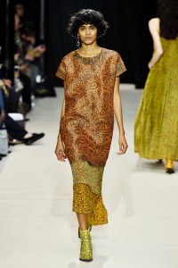 Christian Wijnants RTW Fall 2017