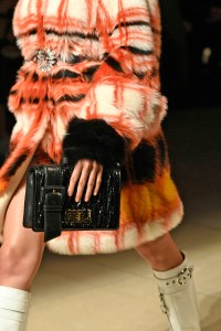 Details at Miu Miu RTW Fall 2017