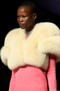 Details at Miu Miu RTW Fall 2017