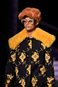Details at Miu Miu RTW Fall 2017