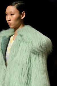 Details at Miu Miu RTW Fall 2017