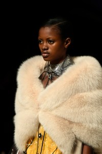 Details at Miu Miu RTW Fall 2017