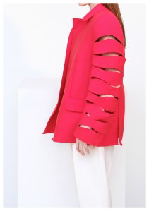 Maison Rabih Kayrouz RTW Fall 2017