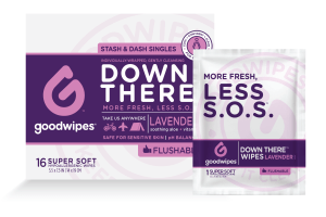 Goodwipes Down There Stash & Dash Singles