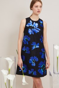Novis Resort 2018