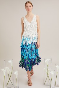 Novis Resort 2018
