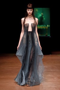 Iris Van Herpen Couture Fall 2017