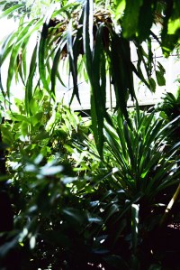 Malls can bring the outside inside with lush greenery.