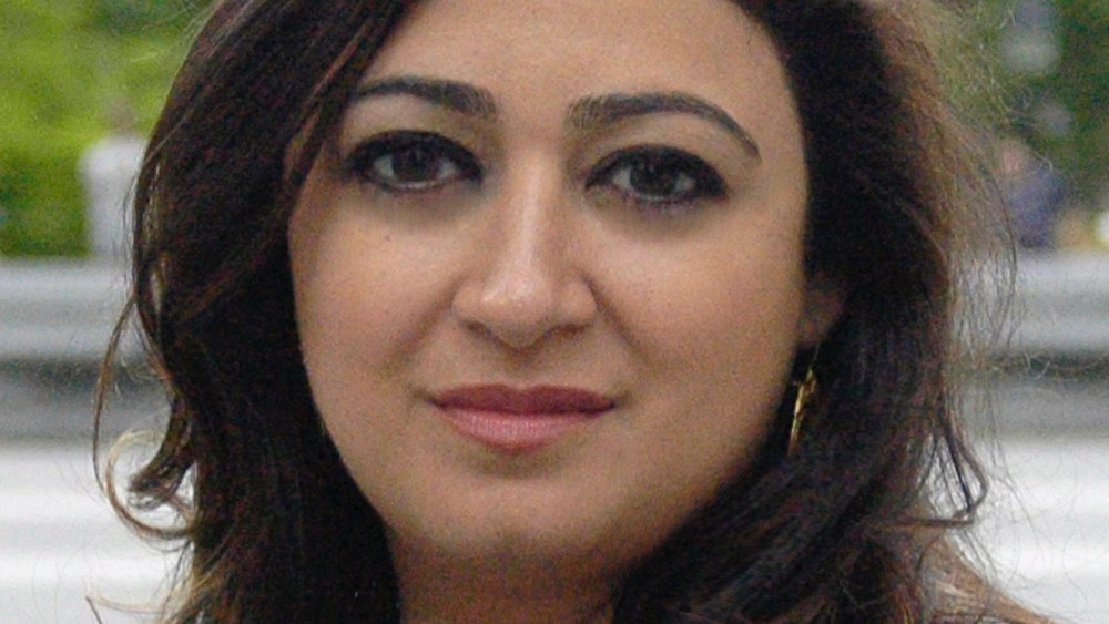 Gizmodo Media Group Names Susie Banikarim Editorial Director