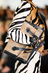 Details at Roberto Cavalli RTW Spring 2018