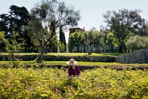 Christian Dior’s home Château de La Colle Noire in the south of France