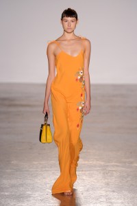 Piccione Piccione RTW Spring 2018