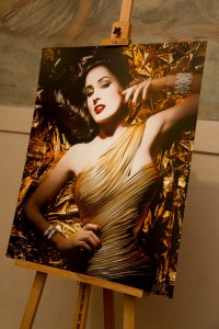 Photographer Ali Mahdavi’s entry.