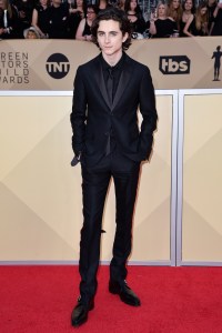 Timothee Chalamet
24th Annual Screen Actors Guild Awards, Arrivals, Los Angeles, USA - 21 Jan 2018