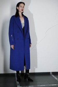 Yang Li Pre-Fall 2018