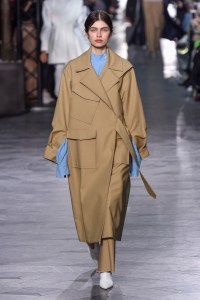 Rejina Pyo  RTW Fall 2018