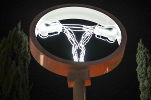 Zoe Buckman's "Champ" public installation at The Standard.