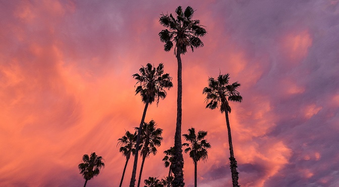 California Dreamin’: Denim Première Vision S/S 17 Trend Preview