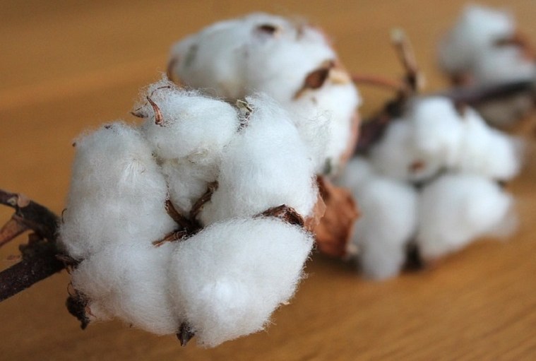 Cotton Inc Unveils Cotton-Blend Fabrics Powered Cordura