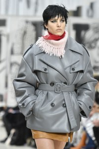 Details at Miu Miu RTW Fall 2018