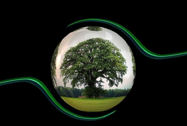 Apparel Brands Must Act Now and Rethink Sustainability
