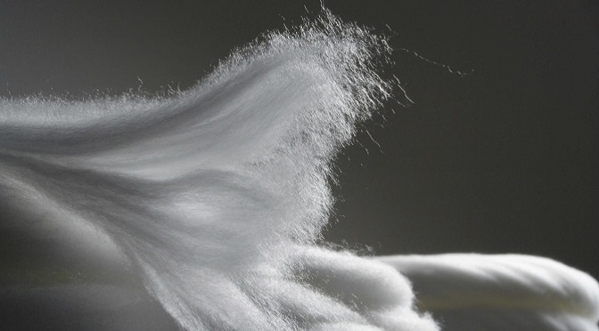 Money in the Material: Managing the Cost of Material Commitment