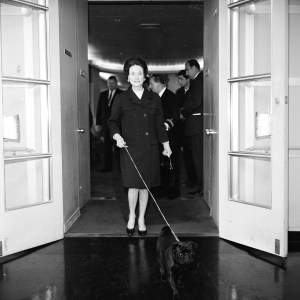 Published, Cropped for Publication; The Duchess of Windsor wearing a navy blue Givenchy coat over a yellow tunic dress while walking Minoroo, the pug as she exists the S.S.United States for her annual spring visit to the U.S.Article title: "The Duchess Sails In"