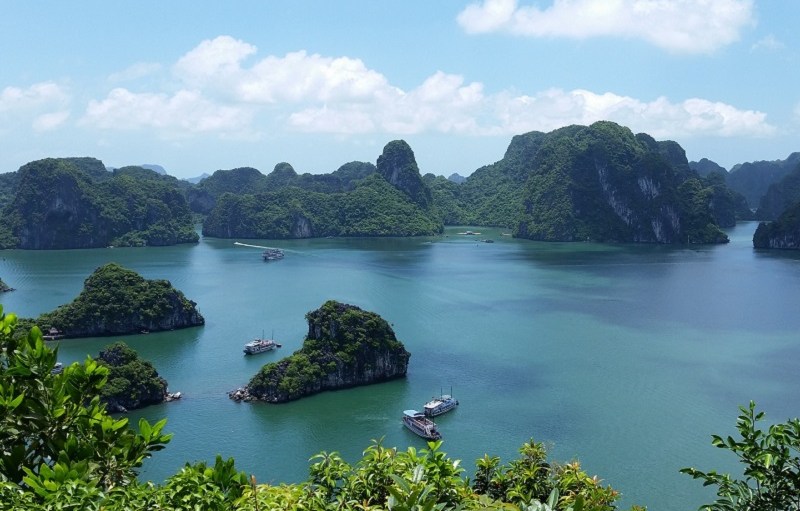 EU-Vietnam Trade Agreement Will Bring Ethical Shifts to Supply Chains
