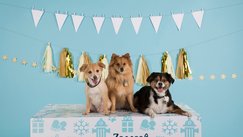 Zappos Announce Second-Annual ‘Home the Pawlidays’